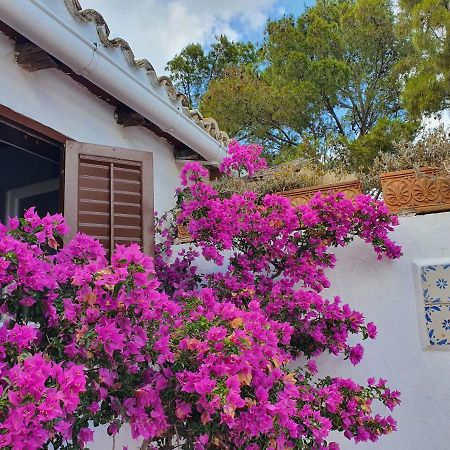Villa Tonnara 산비토로카포 외부 사진